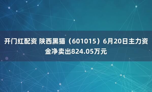 开门红配资 陕西黑猫（601015）6月20日主力资金净卖出824.05万元